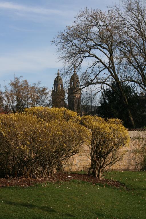 Chambres D'Hotes Le Domaine De Stanislas Lunéville Buitenkant foto